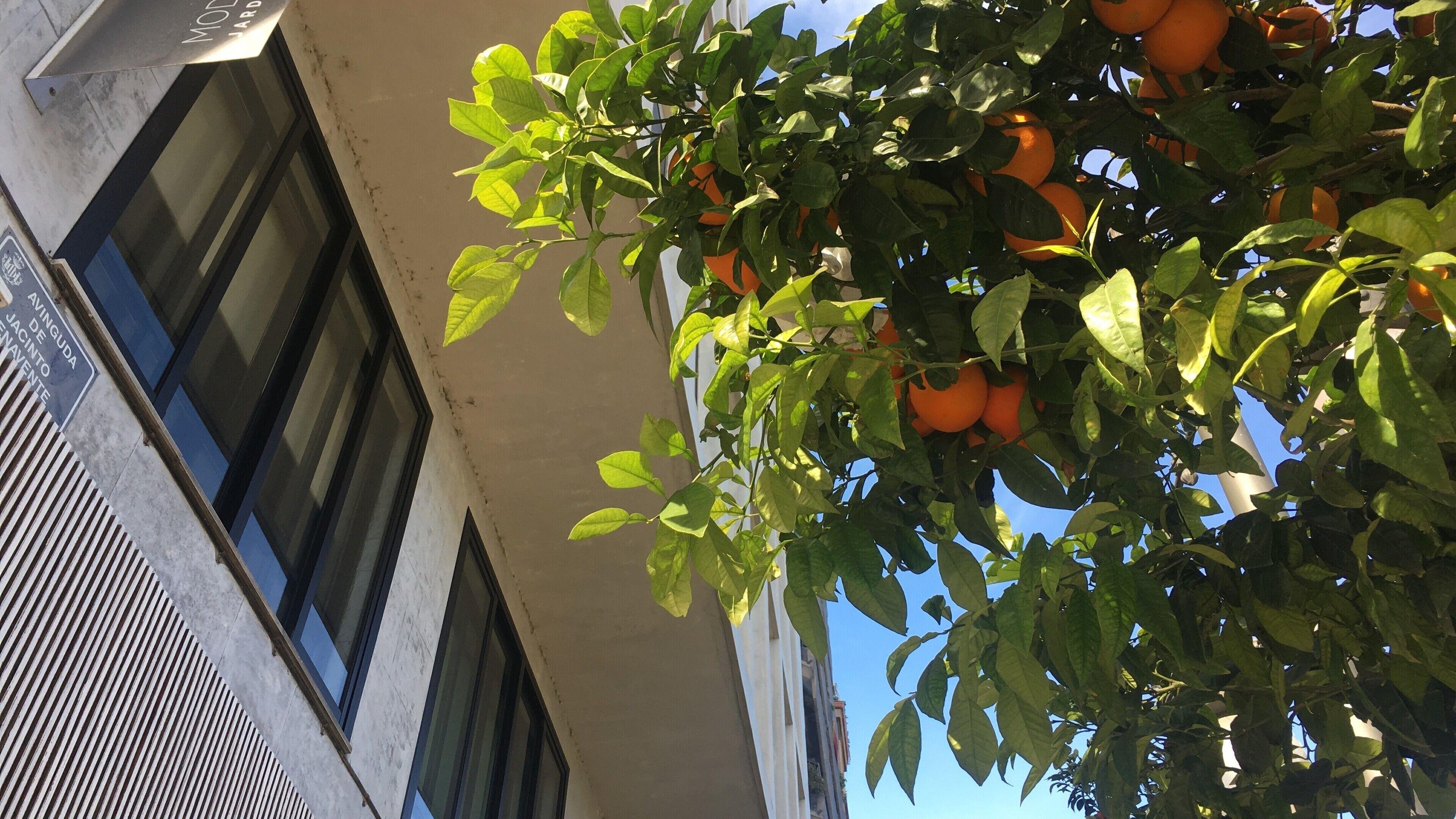 Md Modern Hotel - Jardines — Photos 3