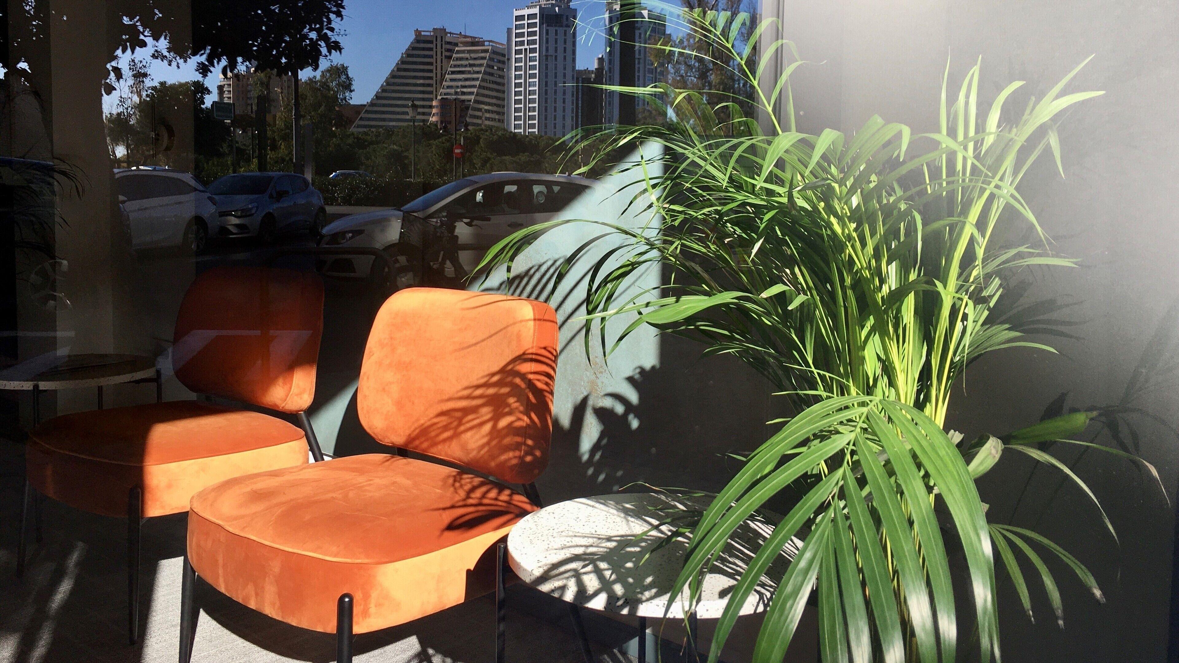 Md Modern Hotel - Jardines — Photos 2